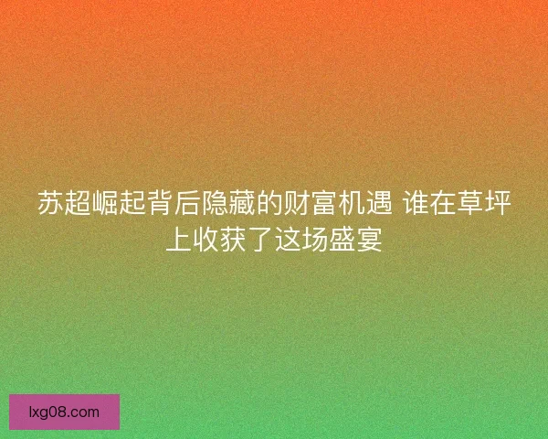 苏超崛起背后隐藏的财富机遇 谁在草坪上收获了这场盛宴